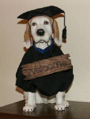 doggraduation.jpg