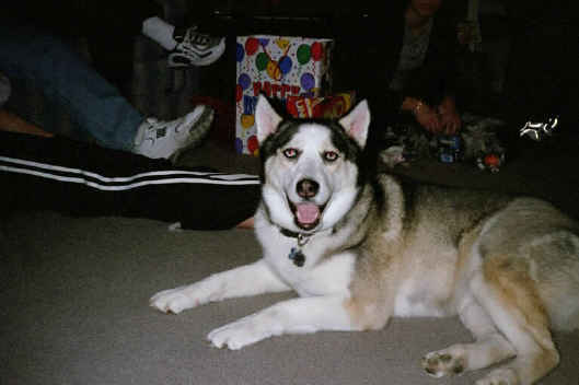 dakota.jpg